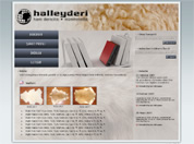 Site tasarımı - Halley Deri